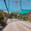 VIP실내골프연습장 이미지