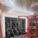 라이언짐 이미지