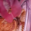 희윤요양병원 이미지