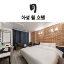 월호텔 이미지