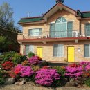 오션파크 민박 이미지