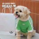 신우체인대보쇼핑 | 아디다스펫 강아지티셔츠 사이즈 추천 성수 매장 구매후기