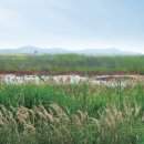 우음도 에코뮤지엄 이미지