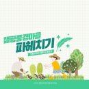 파주쇠꼴마을고고캠핑장 이미지