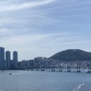 아이러브 피자 이미지