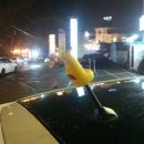 둘리세차장 이미지