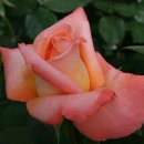 부여(외산)-6 이미지