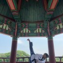 비룡태권도장 이미지