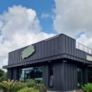 녹차분재로 | 오설록 근처 제주채식 비건 맛집 제주베지스 방문 후기