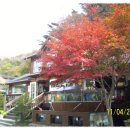 카플 주차장 이미지