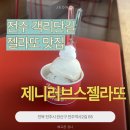 제니러브스젤라또 | [전주 객리단길] 반려동물 동반 가능한 젤라또 맛집, 제니러브스젤라또