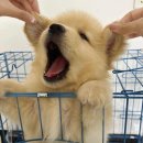 유나오비 | 별이 떴으니까 손 잡고 눈 감아!