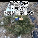 지광원