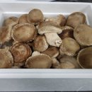 미석농장 이미지