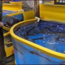 유성상회 이미지