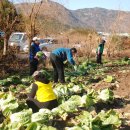 구포1동-6 이미지