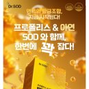 (주)시너지위드 네이버블로그