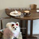 낼름&애견샵 | 애견동반 성산동 망원카페 으믐