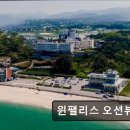 윈 팰리스 오션뷰 펜션 | 오션뷰 펜션 추천 윈팰리스 오션뷰 펜션 윈팰리스 오션뷰 펜션, 바다 바로 앞