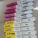 라인쓰리 | [임신] 쓰리라인 임테기 후기 :)