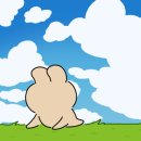 제주선채향 이미지