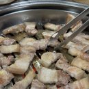 한라산도야지 이미지