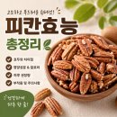 글로리아식품 | 피칸 효능과 칼로리, 영양성분과 하루 권장량까지