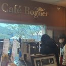 소나무집인카페보그너 이미지