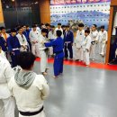 브로스 유도관 이미지