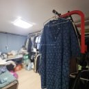 대구안일초등학교 이미지