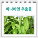 리치짐 이미지