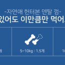 마루덴탈 이미지