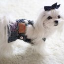 날라리 생선가게 이미지