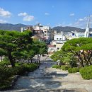 느린 달팽이 | 밀양에서 달팽이처럼 느린 걸음을 걷다