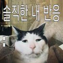 홍#