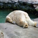 비스타한의원 이미지