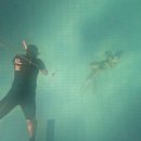 명가통닭 이미지