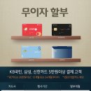 스피드메이트대전 이미지