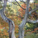 선소로3 이미지