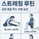 스트레칭운동센터