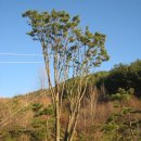 지리산농장 이미지