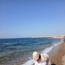 바울주유소 이미지