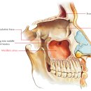 약수치과의원 이미지
