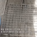 쑥과 함께 구운 고등어를 호박잎에 밥과 쌈장을 올리고.gif 이미지