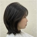 플랜디 네이버블로그