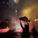 향남메디동물병원 | 2 / 운전해서 고양스타필드 가기..~.../ 고양이 실 삼킴 사고 동물병원 후기 / 용산 메디킹덤 창고형 약국