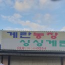 싱싱농장 | [계란농장 싱싱계란 몰아보기] 경기도 광주시 퇴촌면 달걀 마켓 명소