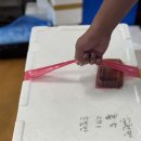노량진수산시장 대게 가격 내돈내산 순천만상회 후기