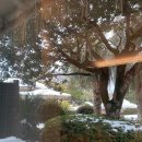 씨에스 호텔 앤 리조트 이미지