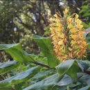 강남하이츠 이미지